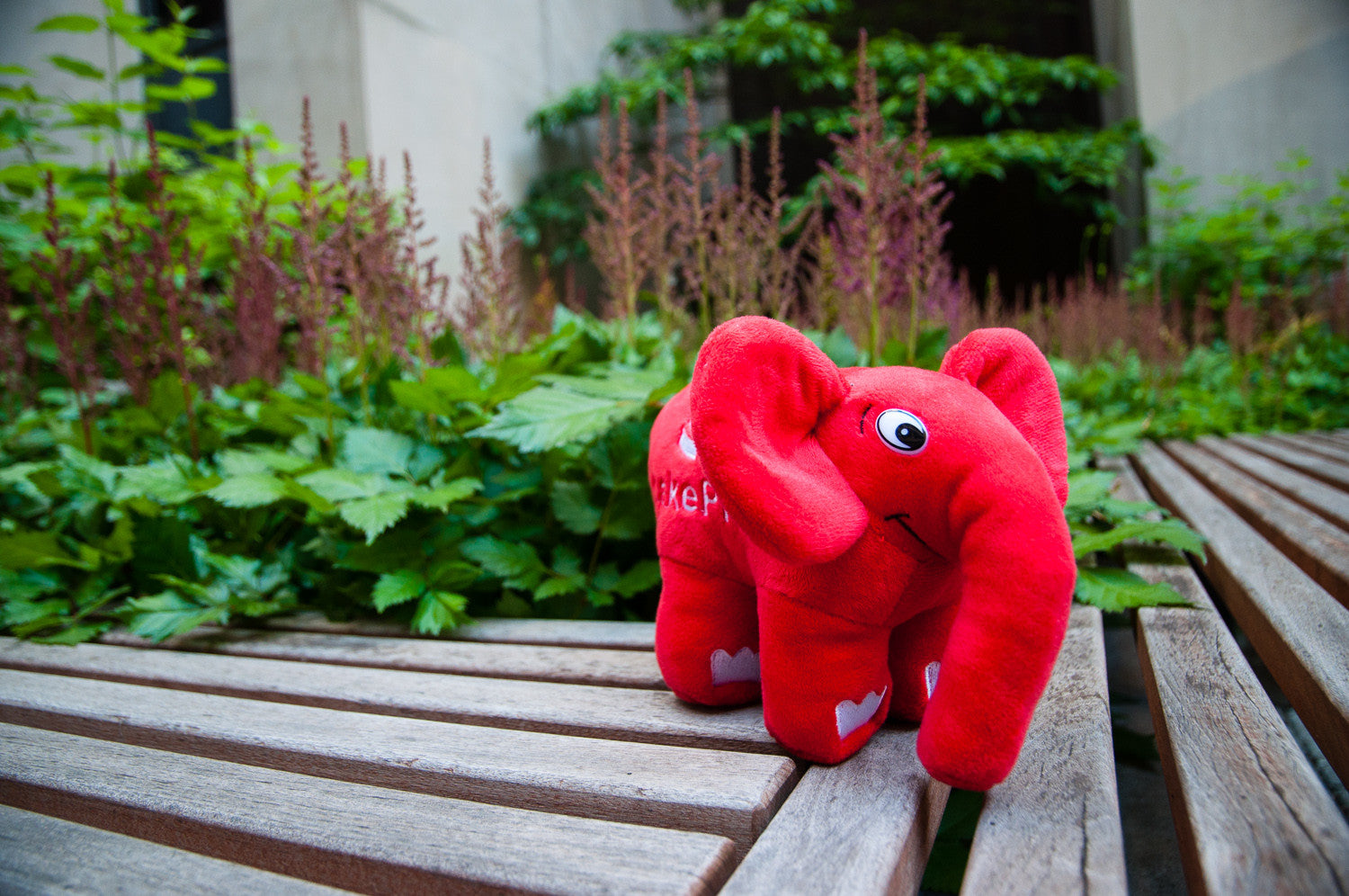 PHP elePHPant ELEPHANT プラッシュ ドール ぬいぐるみ plush